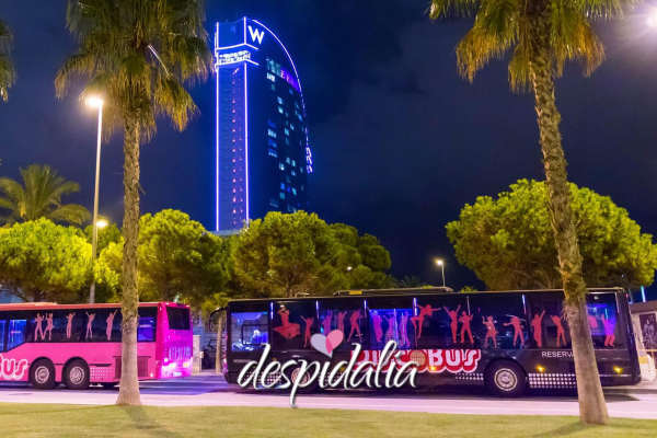 Disco Bus – Party Bus Disco Bus – Party Bus